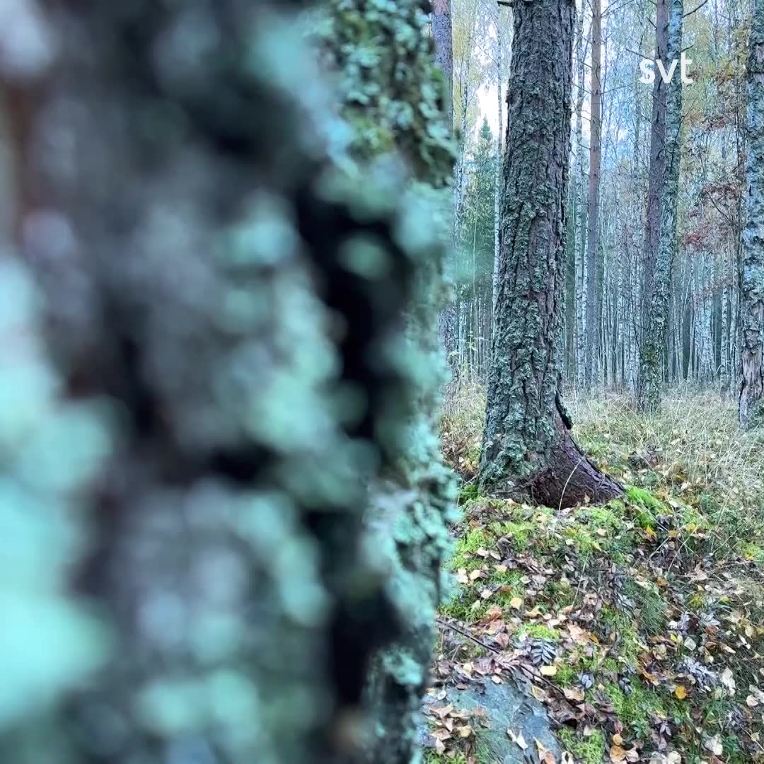 3 tips för att springa under vintern
